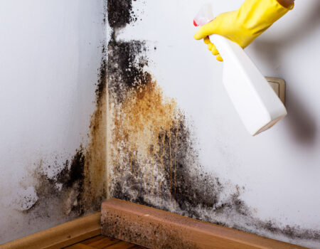spray bottle being used on mold in corner during Mold Removal, Mold Remediation, and Mold Clean Up Serving Oakland, San Francisco, San Jose, Ripon, Sacramento, Fresno, CA